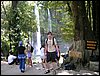 palenque 004.jpg
