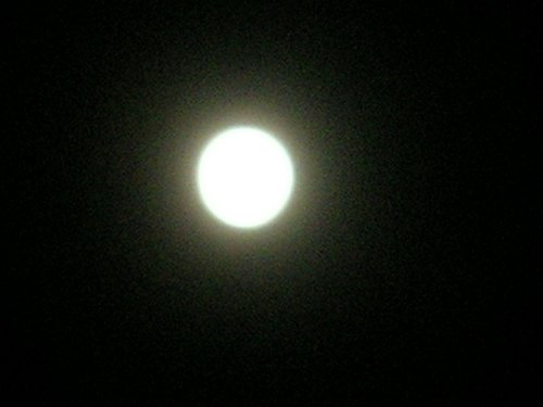 PlayaDelCarmen 004.jpg