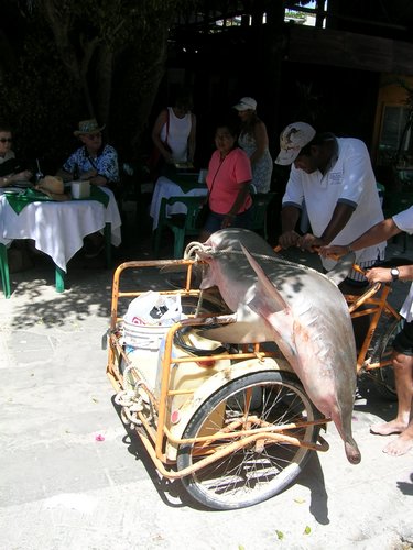 PlayaDelCarmen 016.jpg