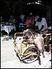 PlayaDelCarmen 016.jpg