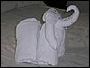 PlayaDelCarmen 026.jpg