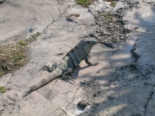 Tulum 027.jpg