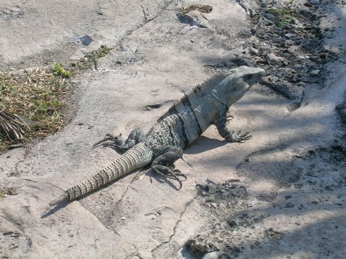 Tulum 028.jpg