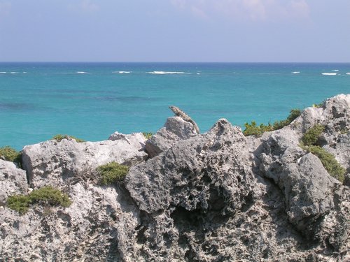 Tulum 030.jpg