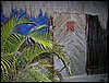 Tulum 016.jpg