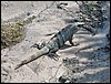 Tulum 028.jpg