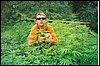 Scan0001.jpg