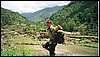 Scan0010.jpg