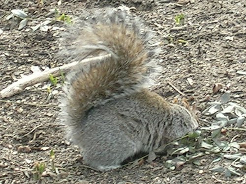 NY2 041.jpg