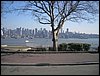 NY 018.jpg