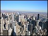 NY2 016.jpg