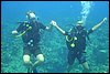 DSC01624.jpg