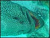DSC01639.jpg